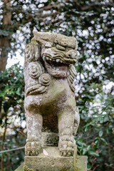 Fototapeta na wymiar stone statue of a lion in Japan