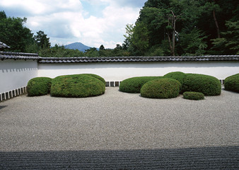 Japanese outdoor garden pathway with green bushes and stone flooring background