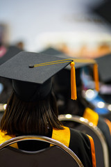 Rear view selective focus of the university graduates crowded in the graduation ceremony. The...