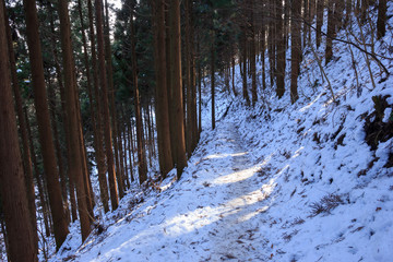 雪の山道