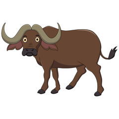 Illustration of Cute African Buffalo