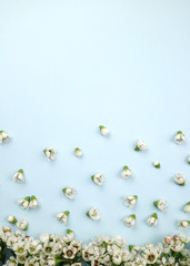 아름다운 봄꽃 배너&프레임, 세일,초대장 배경