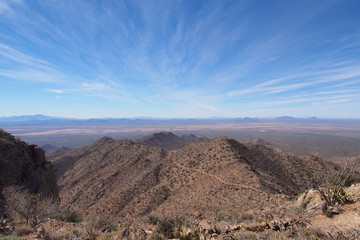 Saguaro National Park landscape from the King Canyon Trail near Tucson, Arizona.