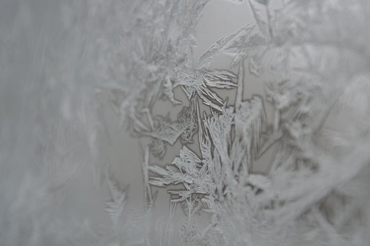 Ice on a Window in the Winter