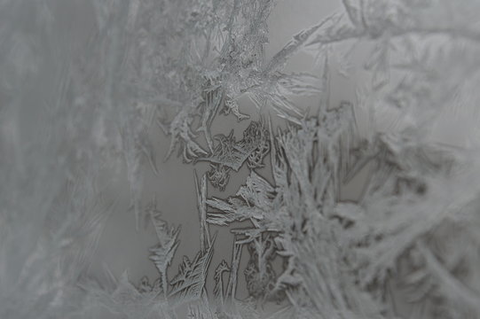 Ice on a Window in the Winter