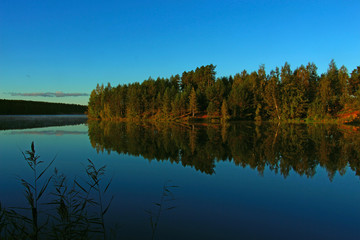 forest on the lake with reflection and fog over the water