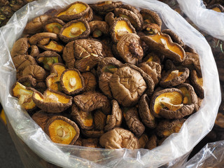 Dried shiitake mushrooms in large plastic bags being sold at market