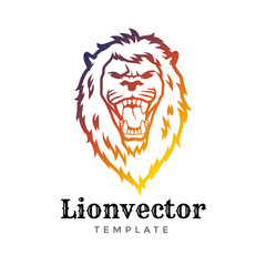 Lion shield logo design template. Lion head logo. Element for the brand identity, vector illustration.
