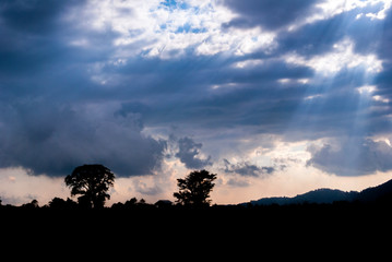 Fototapeta na wymiar silhouette arbole in plain, sunset sunlight among clouds in central america. Guatemala.