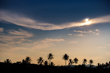 Sunset with a silhouette of rice fields 5
