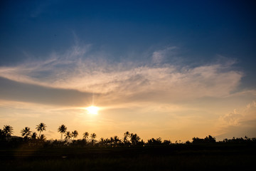 Sunset with a silhouette of rice fields 2