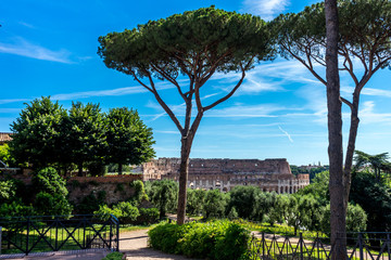 Facade of the Great Roman Colosseum (Coliseum, Colosseo), also known as the Flavian Amphitheatre. Famous world landmark. Scenic urban landscape.