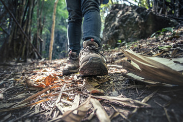 Obraz premium Hiking shoes on road in the forest. travel concept.