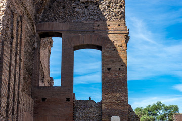 The ancient ruins at the Roman Forum, Palatine hill in Rome