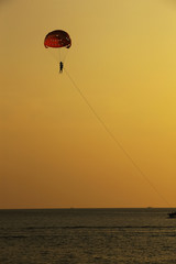Silhouette of skydiver flies on background of sunset sky and sea 