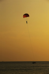 Silhouette of skydiver flies on background of sunset sky and sea 