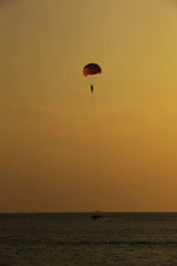 Silhouette of skydiver flies on background of sunset sky and sea 