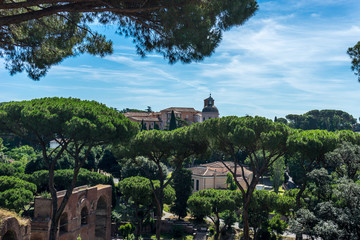 The ancient ruins at the Roman Forum, Palatine hill in Rome