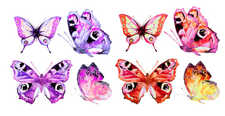 beautiful color butterflies, set, watercolor,  isolated  on a white