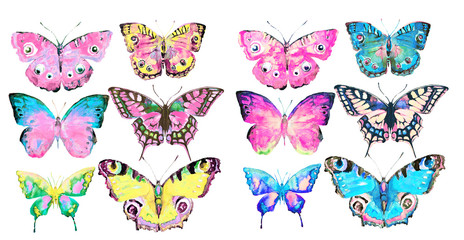 beautiful color butterflies, set, watercolor,  isolated  on a white