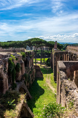 The ancient ruins at the Roman Forum, Palatine hill in Rome