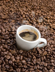 Steaming Hot Espresso on coffee beans