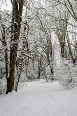 Snow covered path in a wooded winter landscape, footprints in the snow