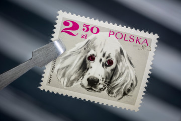 English setter dog on a vintage post stamp