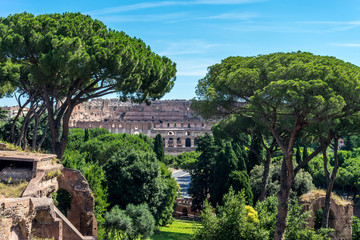 The ancient ruins at the Roman Forum, Palatine hill, colosseum in Rome