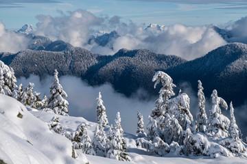Trees on mountains under the snow. Pacific Range mountains and clouds near Vancouver. British Columbia. Canada.