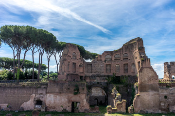 Fototapeta na wymiar The ancient ruins of Hippodrome Of Domitian at the Roman Forum, Palatine hill in Rome. Famous world landmark