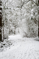 Snow covered path in a wooded winter landscape, snow falling from trees, footprints in the snow