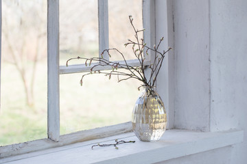 spring branches in vase  on windowsill