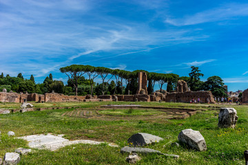 Fototapeta na wymiar The ancient ruins at the Roman Forum, Palatine hill in Rome, Italy, Europe