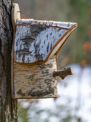 Bird House from birch