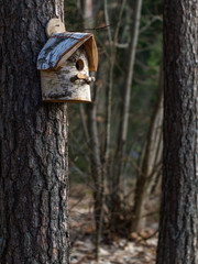 Bird House from birch