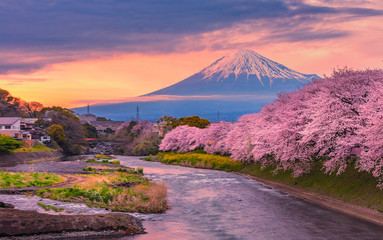 Berg Fuji in der Kirschblütenzeit während des Sonnenuntergangs.