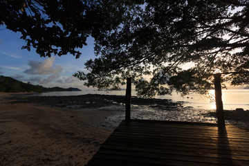 wooden path to the beach
