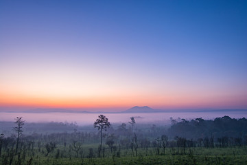 Grass Field Landscape at Thung Salaeng Luang National Park