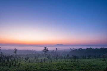 Fototapeta na wymiar Grass Field Landscape at Thung Salaeng Luang National Park
