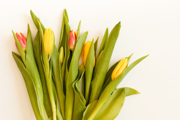 Bunch of Spring tulip flowers. Flat lay. Waiting for spring. Happy Easter card. Top view. Flower Tulip .Spring or summer background with copy space for text. Flowers composition. Floral pattern.