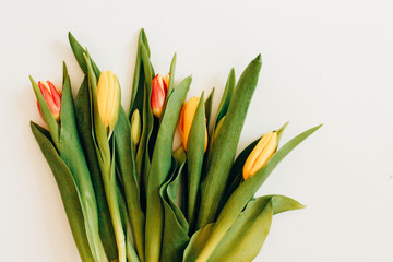 Bunch of Spring tulip flowers. Flat lay. Waiting for spring. Happy Easter card. Top view. Flower Tulip .Spring or summer background with copy space for text. Flowers composition. Floral pattern.