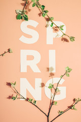 Creative layout with inscription Spring and blooming branches on pastel background. Miminimalism