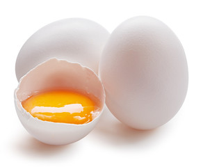 With egg isolated on white