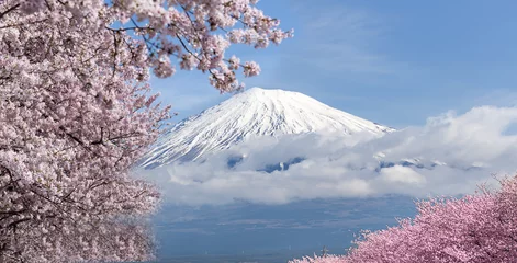 Photo sur Plexiglas Mont Fuji Fuji de montagne et fleurs de cerisier en pleine floraison