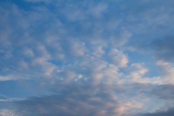 Obraz premium 夕暮れ時の空