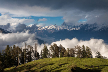 The wonderful meadow of Dayara with panoramic view in Uttarakhand - 253230586