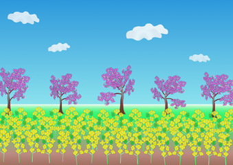 花のある風景・春・菜の花と桜並木