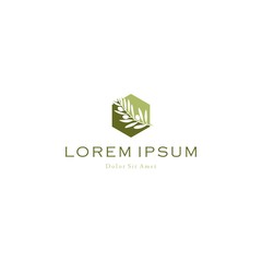 olive oil tree branch logo vector icon illustration