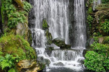 Fototapeta premium 水・滝・落ちる・自然